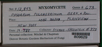 Image Associated With the Occurence